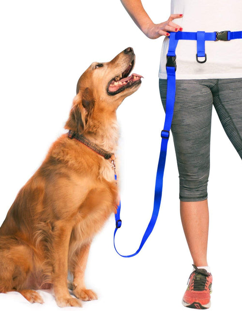 Load image into Gallery viewer, Hands Free Dog Leash, Adjustable Leash for Running, Jogging, Training and Service Dogs, Great for Small, Medium and Large Dogs, Made in USA (Royal Blue, Large Belt (27&quot;- 50&quot; Waist))

