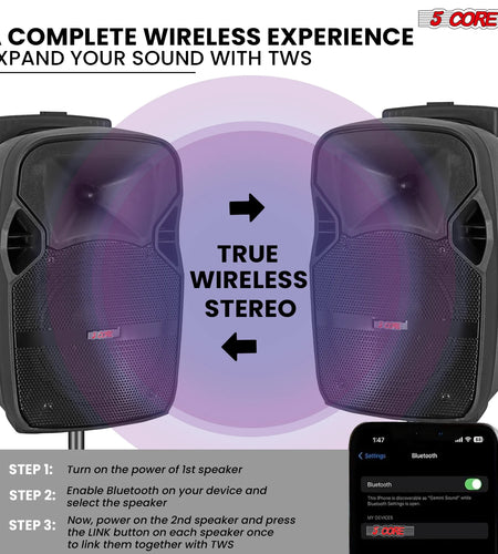 5Core 10 Inch PA Portable Bluetooth Party Speaker Karaoke Boombox + 2 Wireless Mics