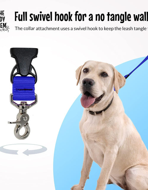 Load image into Gallery viewer, Hands Free Dog Leash, Adjustable Leash for Running, Jogging, Training and Service Dogs, Great for Small, Medium and Large Dogs, Made in USA (Royal Blue, Large Belt (27&quot;- 50&quot; Waist))
